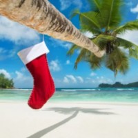 What To Do In Rarotonga At Christmas