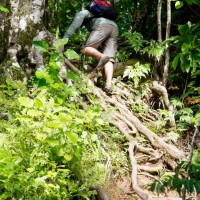 3 Rarotonga Activities for the Adventurous Tourist