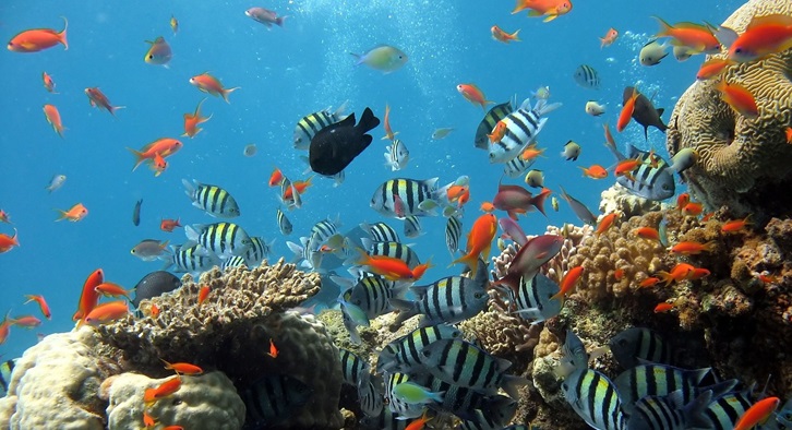 Five Cool Things to Do on Rarotonga for a Christmas Stay